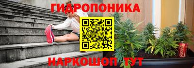 apvp Гагарин